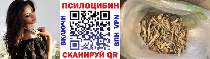 Галлюциногенные грибы мицелий  Купить закладки  Сысерть 